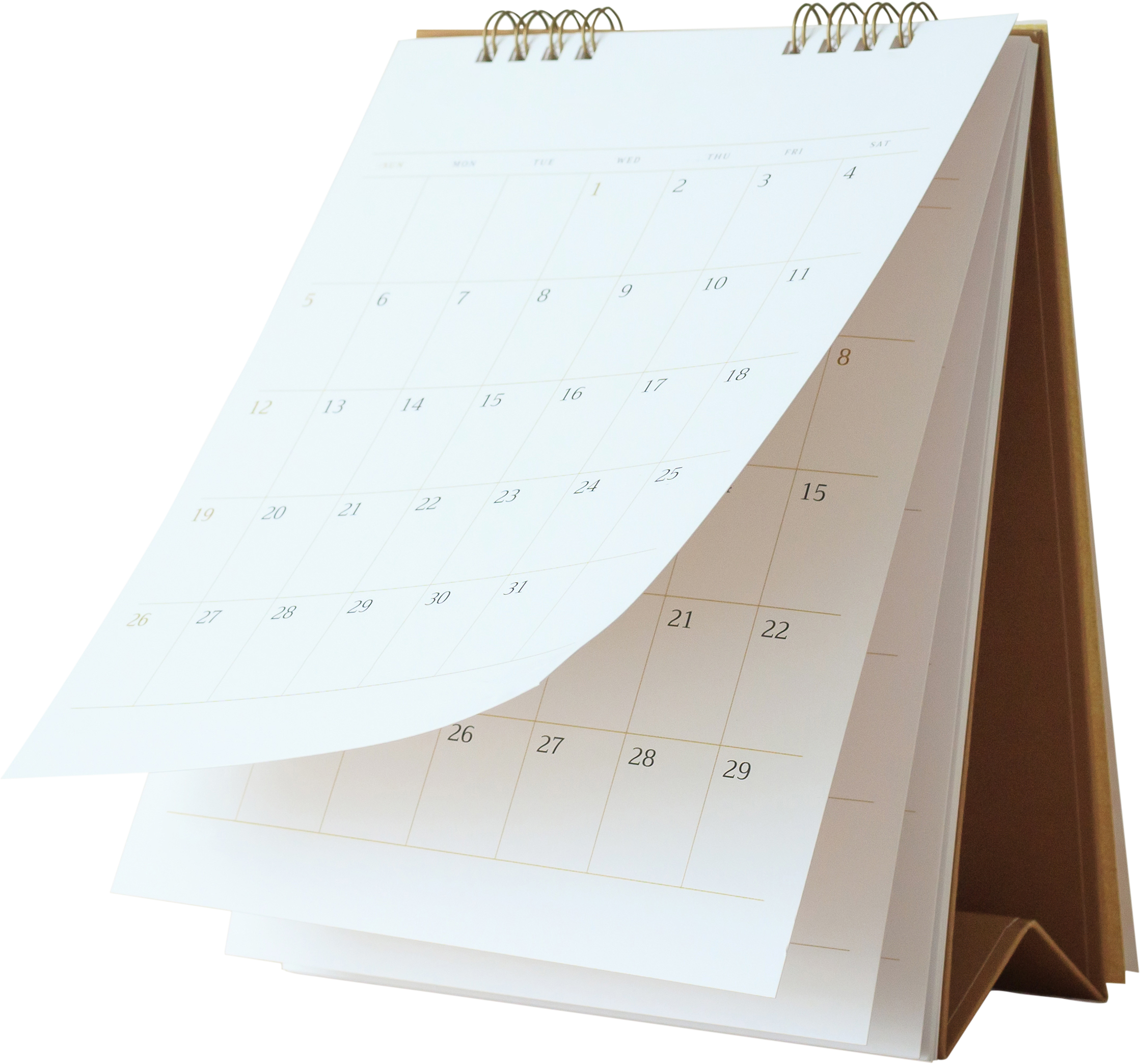 Annual Meeting: 2025 in Review